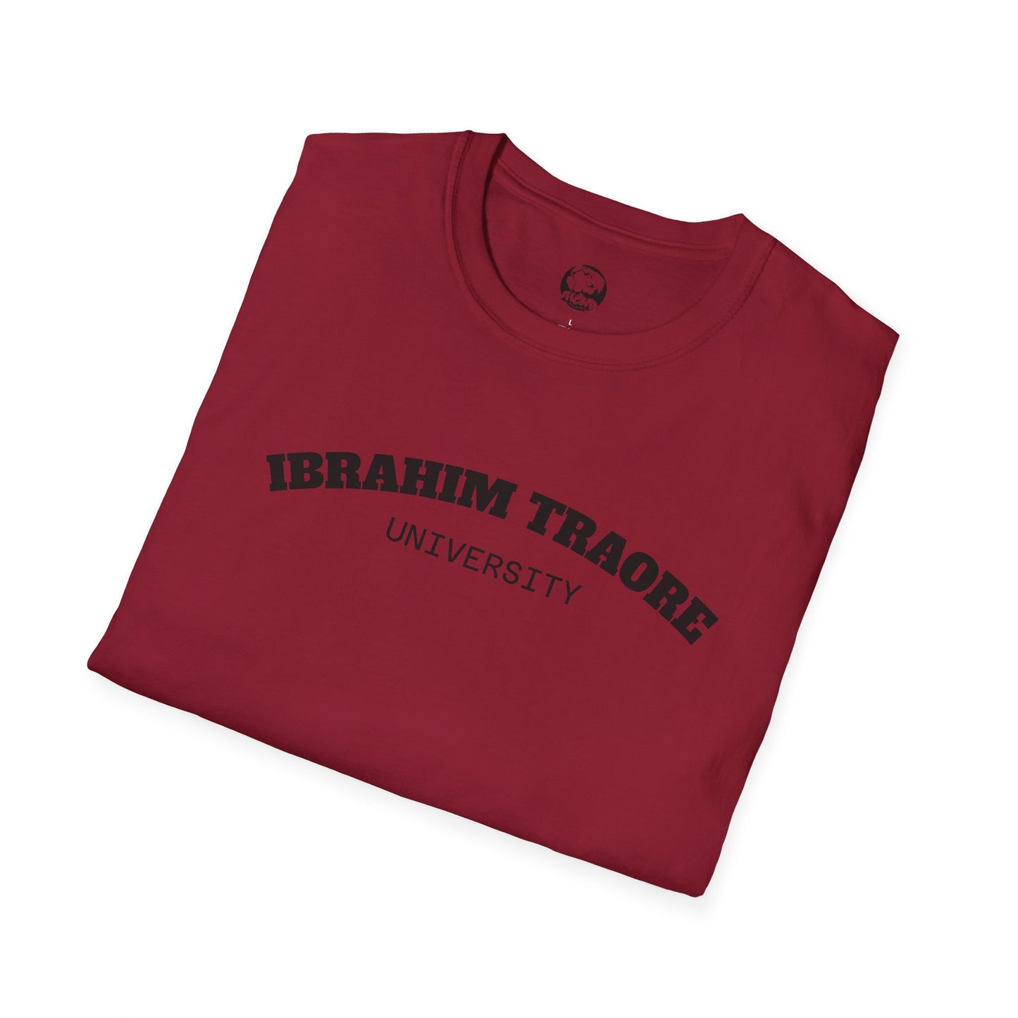 Unisex Softstyle T-Shirt - HCWP