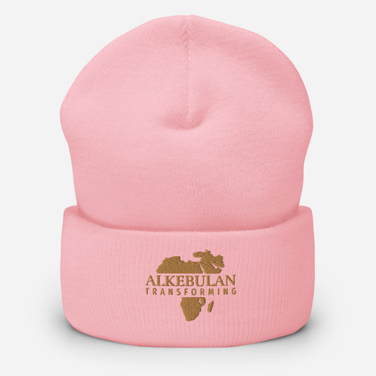 Alkebulan Cuffed Beanie - HCWP
