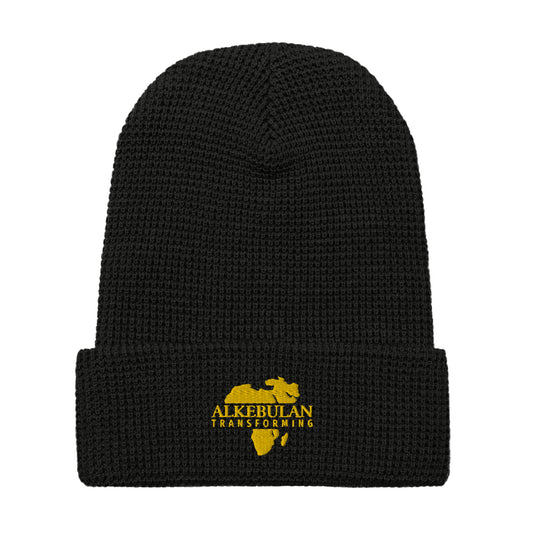 Alkebulan Transforming beanie - HCWP