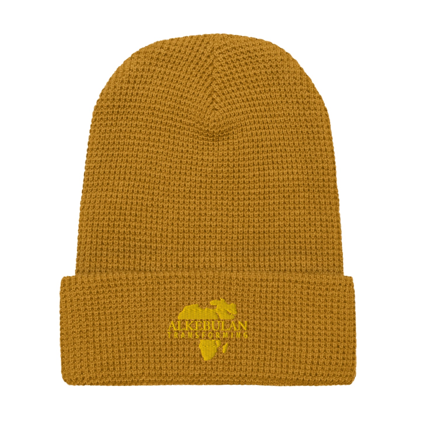 Alkebulan Transforming beanie - HCWP