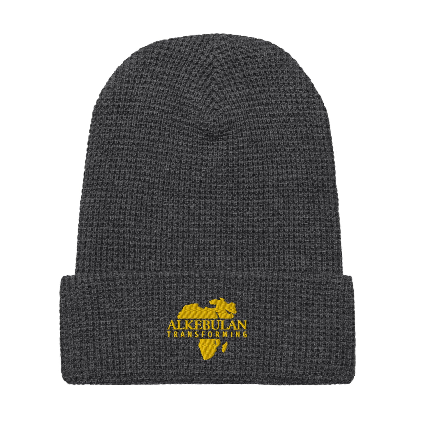 Alkebulan Transforming beanie - HCWP