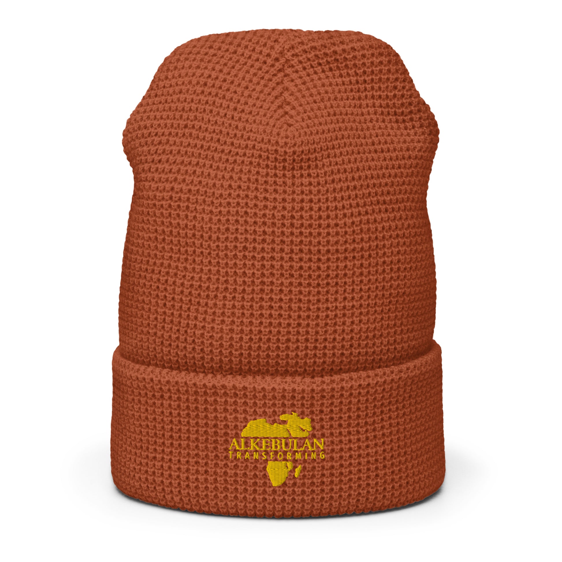 Alkebulan Transforming beanie - HCWP