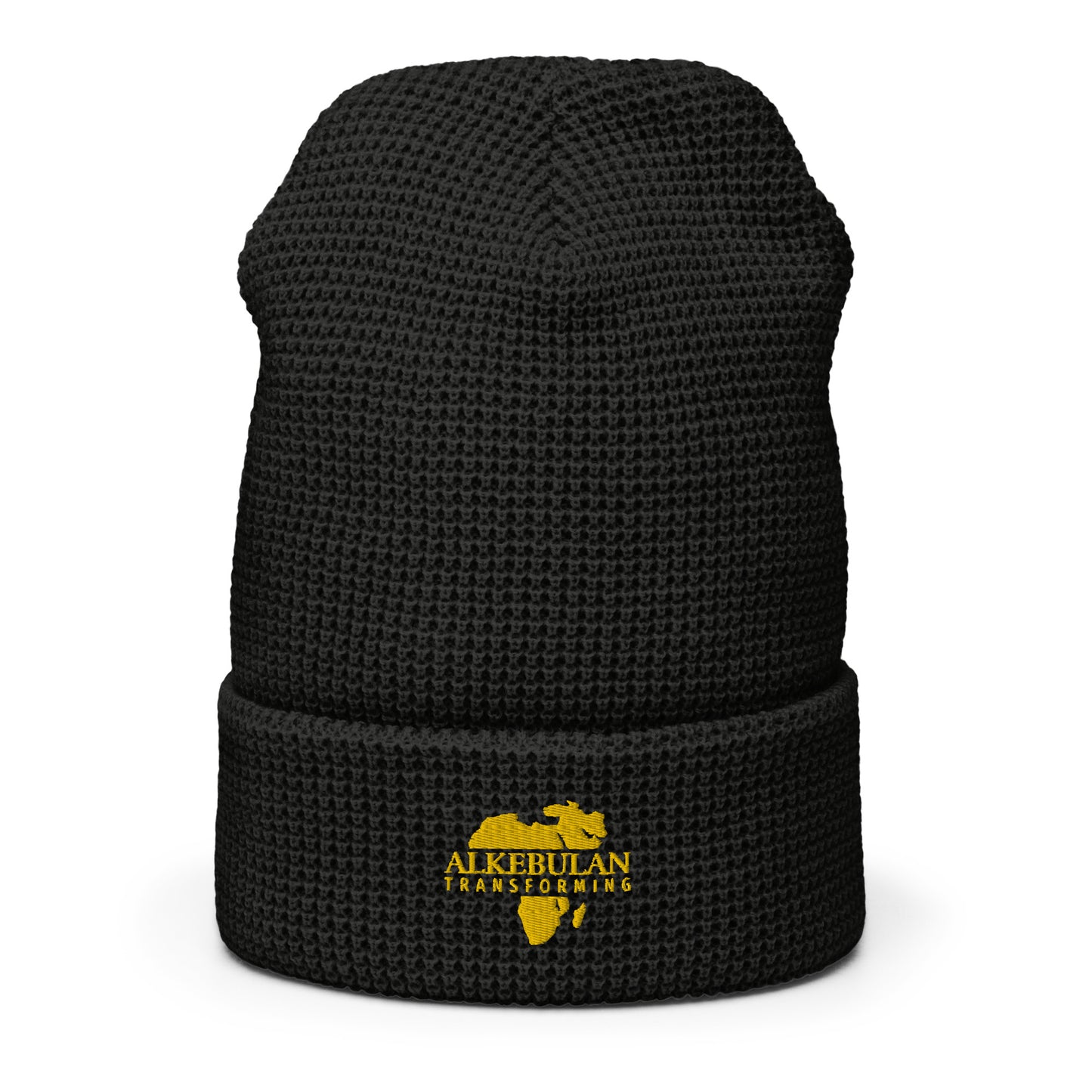 Alkebulan Transforming beanie - HCWP 