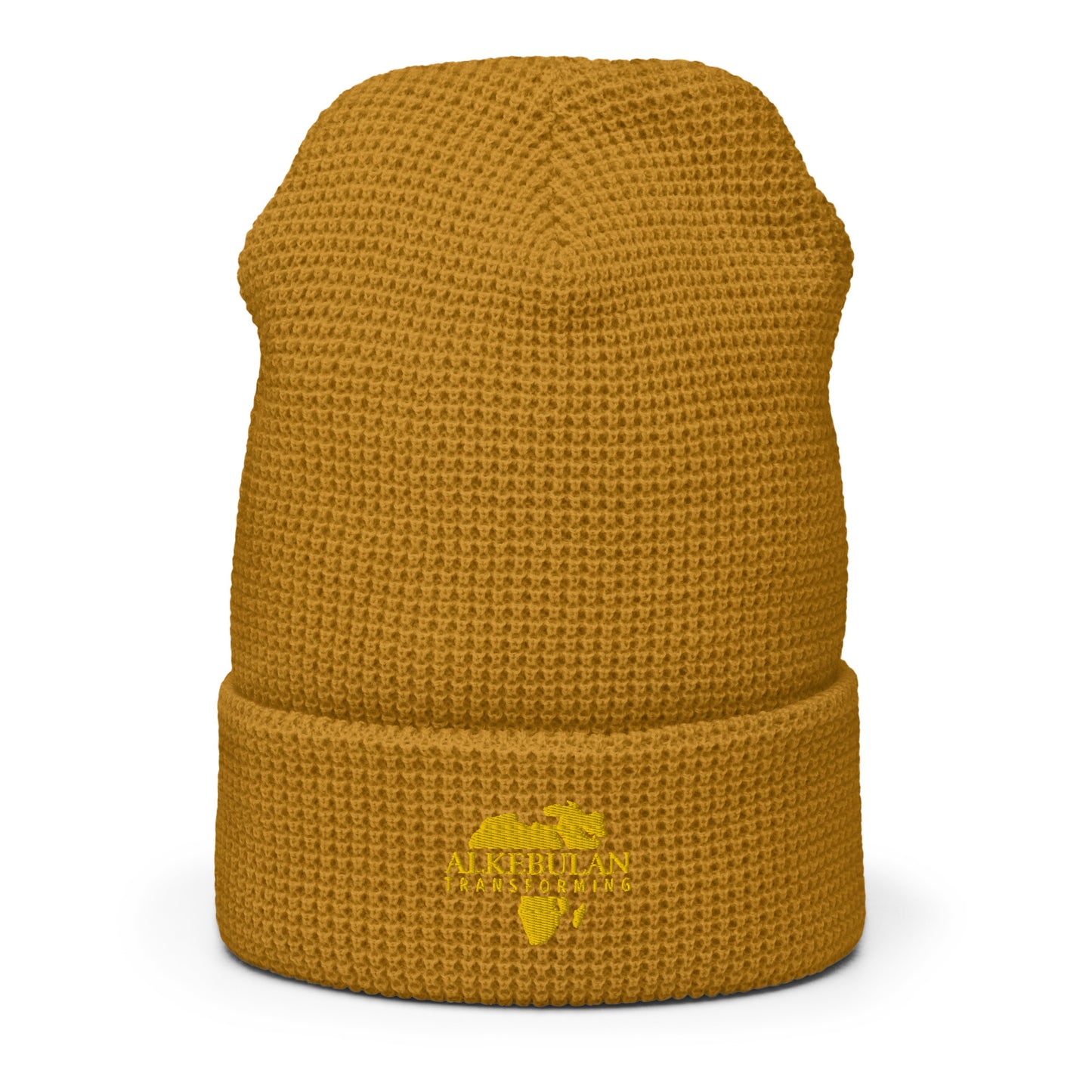 Alkebulan Transforming beanie - HCWP 